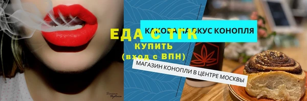 гашик Алексин