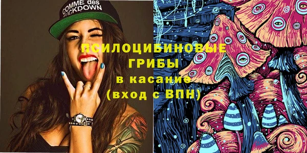 гашик Алексин
