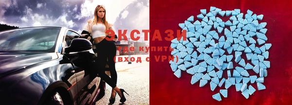гашик Алексин