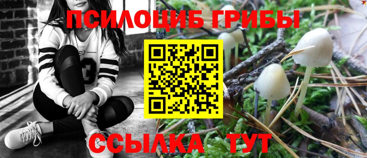 Псилоцибиновые грибы мицелий  Вход с VPN  Новочеркасск  Псилоцибиновые грибы Psilocybe 